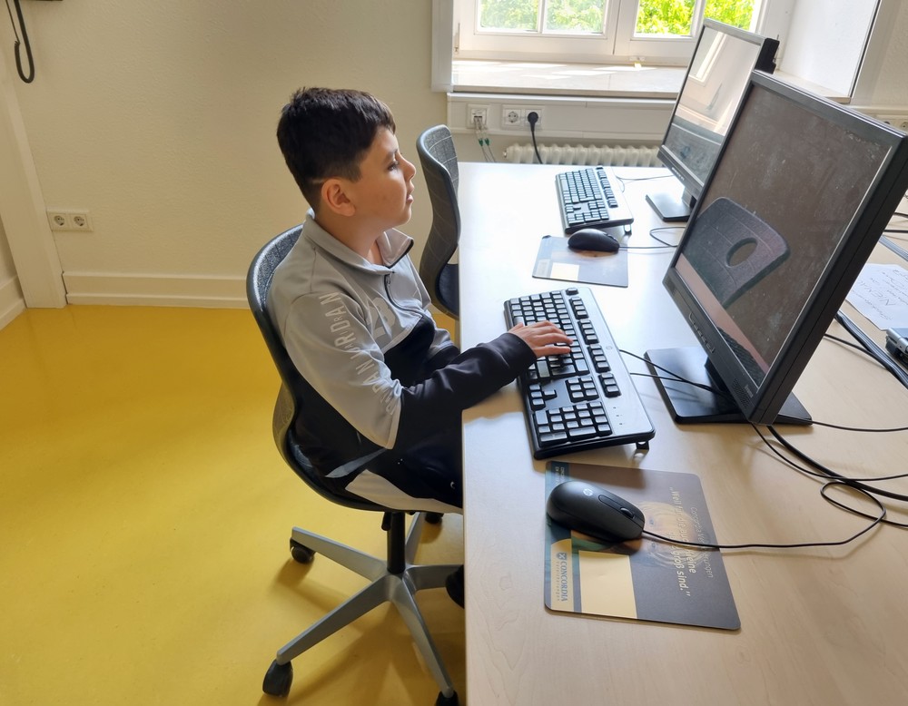 Schüler sitzt am Computer
