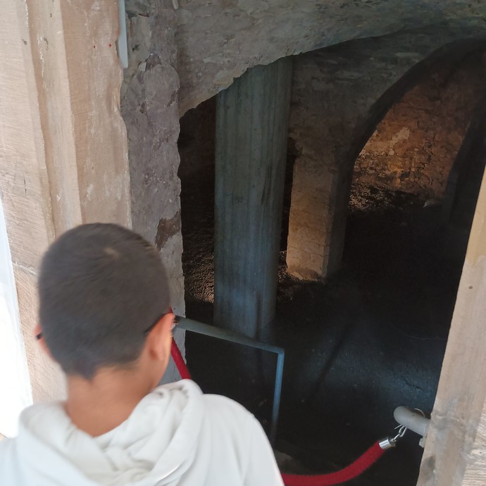 Schüler bei Ausflug (vergrößerte Bildansicht wird geöffnet)