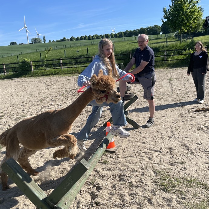 Alpakabesuch (vergrößerte Bildansicht wird geöffnet)